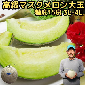 メロン 母の日 早割 ギフト プレゼント 塩 アールスメロン 匠 大玉 1玉 3L〜4L 約1.8〜2kg 糖度15度以上 芳醇な香りと甘みが美味しい 熊本 産地直送ニシムラ厳選 母 の日 2023 予約 食品 食べ物 フルーツ 果物