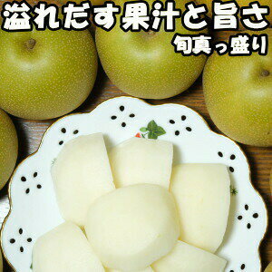 梨 ギフト 美味しい なし 糖度 うまい ナシ 熊本 旬の梨 約2.5kg 贈答用 送料無料 品種 愛冠水 幸水 豊水 あきづき 秋月 南水 新興 新高 敬老の日 お彼岸 残暑見舞い お供え お中元 果物 フルーツのサムネイル