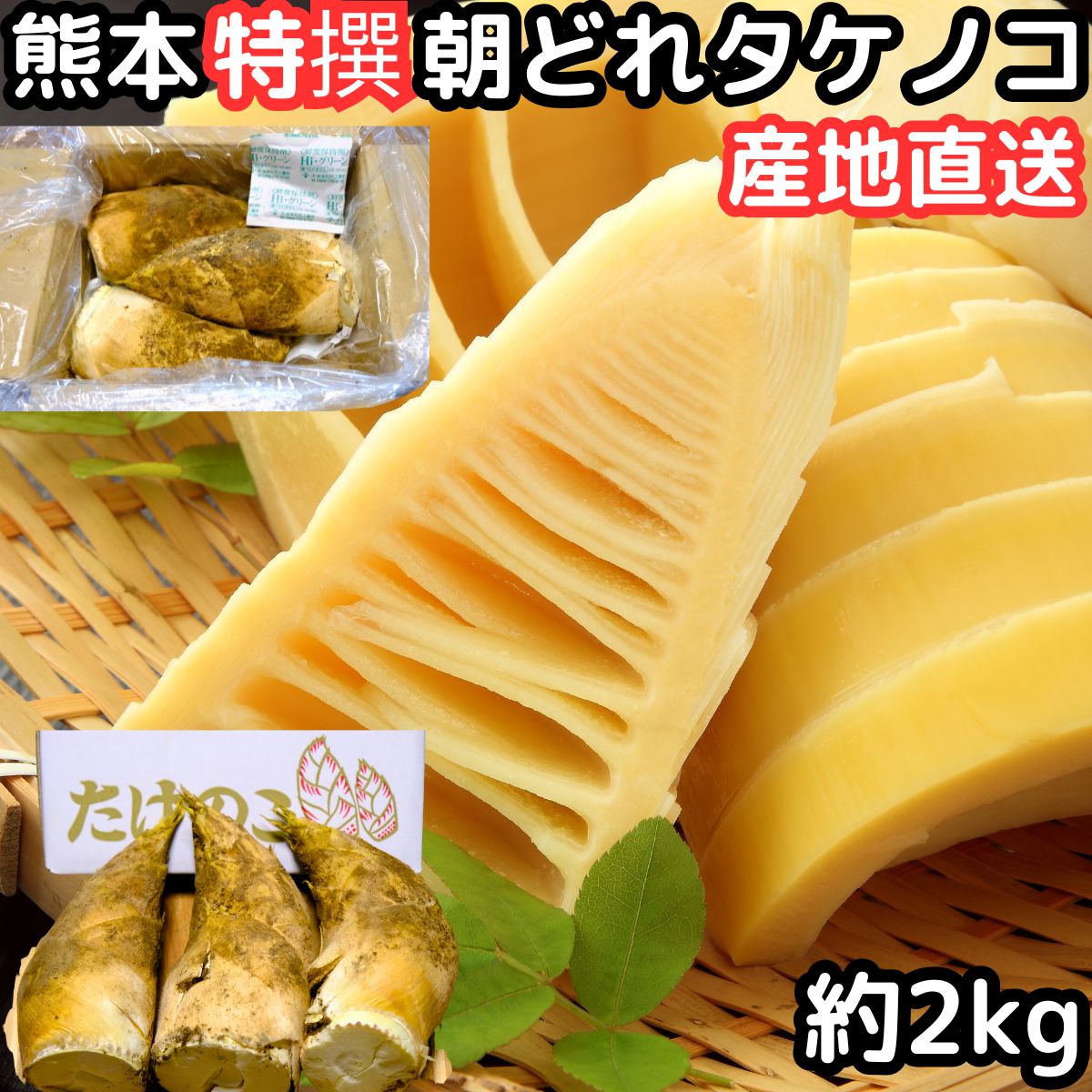 楽天市場】たけのこ(産地(都道府県)熊本)(たけのこ|その他 楽天市場】たけのこ(産地(都道府県)熊本)(たけのこ|その他