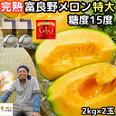 メロン 北海道 富良野 お中元 早割 ギフト 赤肉 特大 富良野メロン 2玉 4.4〜6.4kg以上 特秀品 送料無料 糖度15度 完熟 めろん 丸山農園 品種...