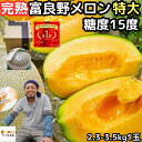 メロン 北海道 富良野 お中元 早割 ギフト 赤肉 特大 富良野メロン 1玉 約2.3〜3.5kg 特秀品 贈答用 送料無料 糖度15度以上 完熟 めろん 丸山...