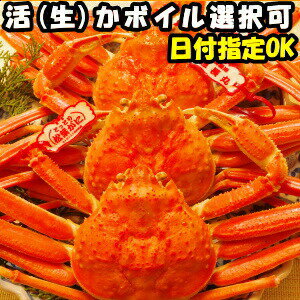 タグ付き カニ 未冷凍 選択可 鳥取 カニ 生 ボイル 境港 選択可 松葉カニ料理レシピ付 姿 2尾 タグ付きは甘み旨味が違う 650 750g 2尾 送料無料 日付指定ok か チルド ボイル 松葉蟹 松葉ガニ ギフト クックス産直店鮮度抜群 国産 かに 生食用 活 直送 カニ