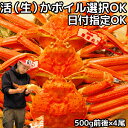 カニ 松葉ガニ 日付指定OK 4尾 500g前後×4尾 活 生 か ボイル 選択可 未冷凍 送料無料 国産 鳥取 境港 直送 松葉蟹 姿 生食用 かに チルド ...