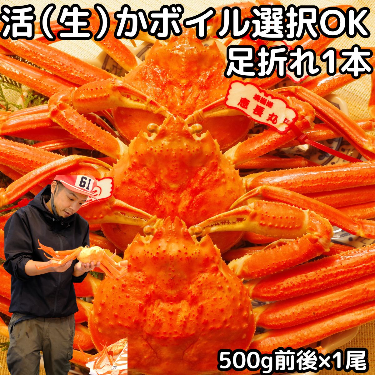 カニ 松葉ガニ 訳あり 足折れ 1本なし 日付指定OK 500g前後×1尾 活 生 か ボイル 選択可 未冷凍 送料無料 国産 鳥取 境港 直送 松葉蟹 姿 生...