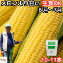 とうもろこし 御中元 生で食べれる おおもの スイートコーン 香川 三豊産 トウモロコシ 2L～3Lサイズ 10-11本入 糖度 お中元 父の日 プレゼント ギフト 食品 食べ物 内祝 2024 6月 7月