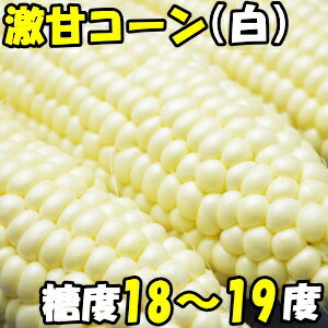 とうもろこし ピュアホワイト 早割 甘い ギフト お中元 送料無料 生で食べれる 白いとうもろこし プレゼント 糖度18〜19度 香川 三豊産 白 トウモロコシ 2L-Lサイズ 10本-11本 父の日 プレゼント 父の日ギフト 食品 食べ物 内祝 御中元 2021 6月