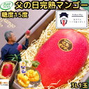マンゴー 父の日 ギフト プレゼント 宮崎 完熟マンゴー 赤秀 糖度15度以上 3l サイズ 1玉 化粧箱入 宮崎 JGAP認定農家 川崎農園 父の日プレゼント...