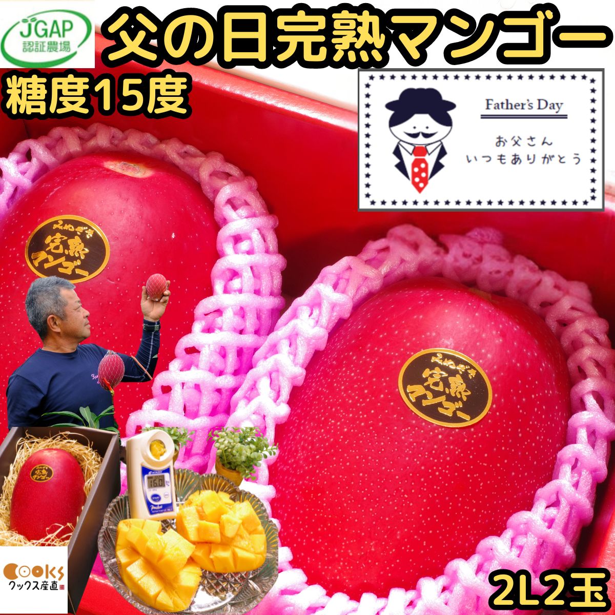 楽天市場】マンゴー 母の日（マンゴー｜フルーツ・果物）：食品