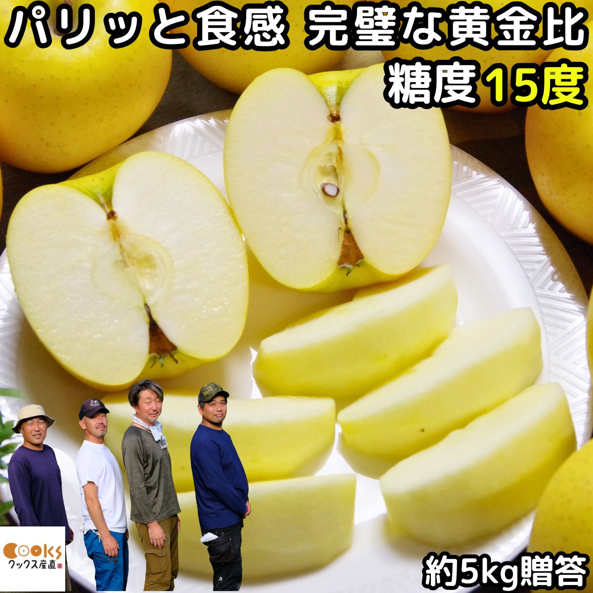 りんごシナノゴールド約5kg10〜...