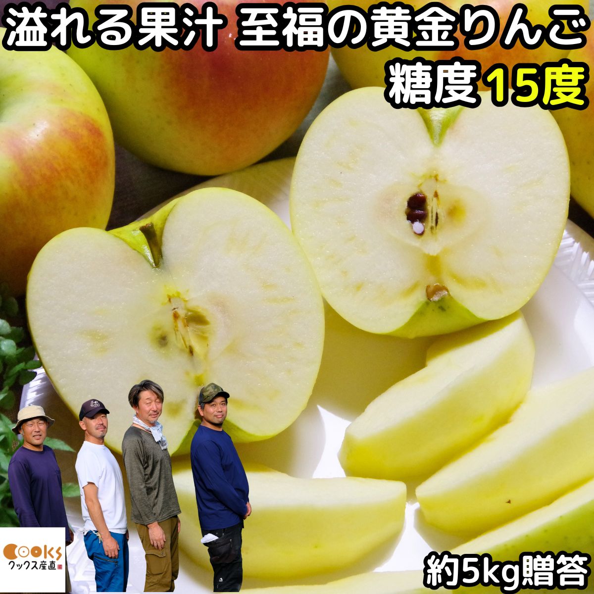 りんご ぐんま名月 約 5kg 10〜20玉 贈答用 ギフト 長野 クックス飯綱りんご会 リンゴ プレゼント もぎたて ぐんまめいげつ 林檎 予約 産直 長野 ...