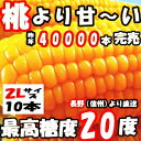 とうもろこし 県外不出 桃より甘い 生で食べれるとうもろこし めぐみ 長野産 2Lサイズ 10本 3.5〜4.5kg