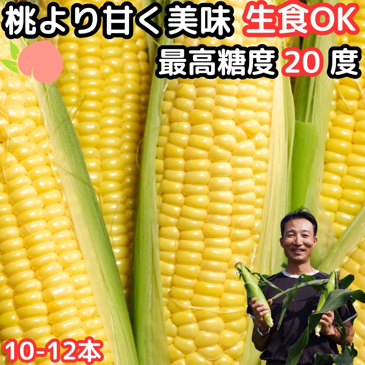 41万本突破 桃より甘い とうもろこし A品 贈答 生で食べれる 県外不出 甘い 朝採 恵味 長野産 生トウモロコシ 2L〜L サイズ 10〜12本 お中元 食べ物 食品 内祝 御中元 2023 送料無料 フルーツコーン