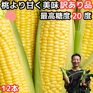 とうもろこし わけあり 桃より甘い 朝採 甘い 累計34万本突破 県外不出 生で食べれるとうもろこし 恵味 長野 訳アリ トウモロコシ 2L-Lサイズ混合 12本 送料無料