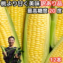 【絶賛出荷中】 とうもろこし わけあり 桃より甘い 2L-L混合 12本 朝採 甘い 累計34万本突 ...