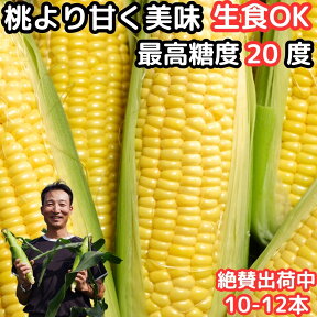 【絶賛出荷中】 41万本突破 桃より甘い とうもろこし A品 贈答 2L～L 10～12本 生で食べれる 県外不出 甘い 朝採 恵味 長野産 生トウモロコシ お中元 食べ物 食品 内祝 御中元 2023 惠味ゴールド 送料無料 フルーツコーン