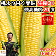 累計45万本突破 桃より甘い とうもろこし A品 贈答 2L～L 10～12本 生で食べれる 県外不出 甘い 朝採 恵味 長野産 生トウモロコシ お中元 食べ物 食品 内祝 御中元 2024 惠味ゴールド 送料無料 フルーツコーン