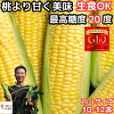 累計45万本突破 桃より甘い とうもろこし A品 贈答 2L～L 10～12本 生で食べれる 県外不出 甘い 朝採 恵味 長野産 生トウモロコシ お中..