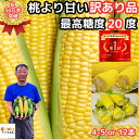 【絶賛出荷中】 とうもろこし わけあり 桃より甘い 2L-L混合 4-5 or 12本 朝採 甘い シリーズ累計50万本突破 県外不出 生で食べれるとうもろこし 恵味 長野 訳アリ トウモロコシ 送料無料 惠味ゴールド 2025