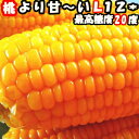 桃より甘い とうもろこし 生で食べれる 累計190,000本...