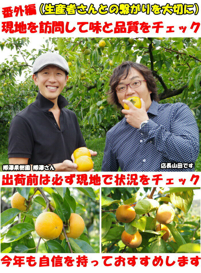 種なし柿
