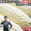 とうもろこし 甘い ギフト お中元 送料無料 生で食べれる 白いとうもろこし プレゼント 糖度18〜19度 兵庫 豊岡 白 真夜中 トウモロコシ 2L-Lサイズ...