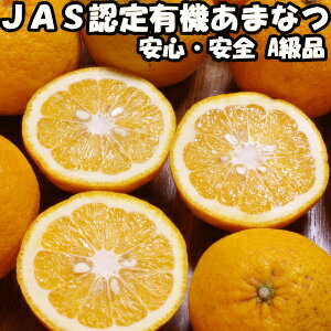 みかん 甘夏 2.5kg 有機JAS 認証 無農薬 あまなつ 送料無料 佐賀 鹿島 佐藤農場 有機栽培 オーガニック 甘夏みかん 2.5kg A品 混合 直送 箱 買い