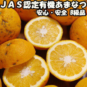 みかん 甘夏 訳あり 9kg有機JAS 認証 無農薬 あまなつ 送料無料 佐賀 鹿島 佐藤農場 有機栽培 オーガニック わけあり 甘夏みかん 9kg B品 混合 直送 箱 買い