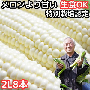 とうもろこし 北海道 白 ホワイトショコラ 8本入 メロンより甘い 特別栽培 生で食べれる トウモロコシ 平均糖度18度 北海道 士別 三栄アグリ 送料無料