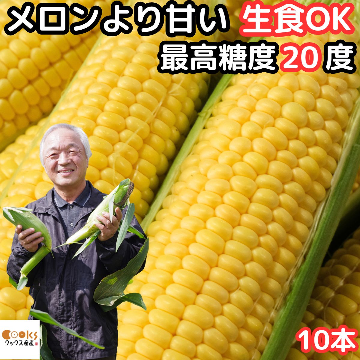 とうもろこし 北海道 2L〜L サイズ 10本入 メロンより甘い 朝どれ 生で食べれる トウモロコシ 平均糖度18度 夢のコーン わくわくコーン 北海道 士別 三栄アグリ 送料無料