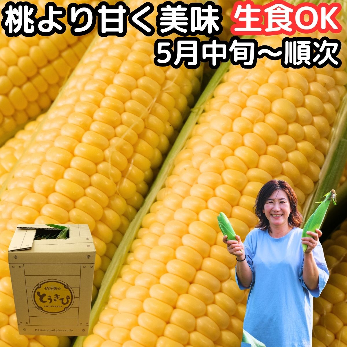 とうもろこし 生で食べれる 甘い 早割 5月中旬 9〜13本 3L〜L 朝どれ 長崎産 島原産 松本農園 生トウモロコシ 糖度 食べ物 食品 内祝 父の日 2023 送料無料 ゴールドラッシュ おおもの 黄色 5月 6月 出荷