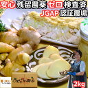 生姜 囲い生姜 2kg 国産 長崎 島原 JGAP取得 松本農園 紅茶 湯 発酵 しょうが 冷え 効能 効果 料理用途多数 産地直送