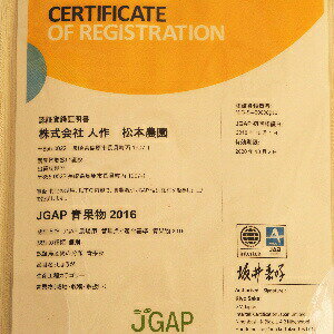 生姜 囲い生姜 2kg 国産 長崎 島原 JGAP取得 松本農園 紅茶 湯 発酵 しょうが 冷え 効能 効果 料理用途多数 産地直送 2