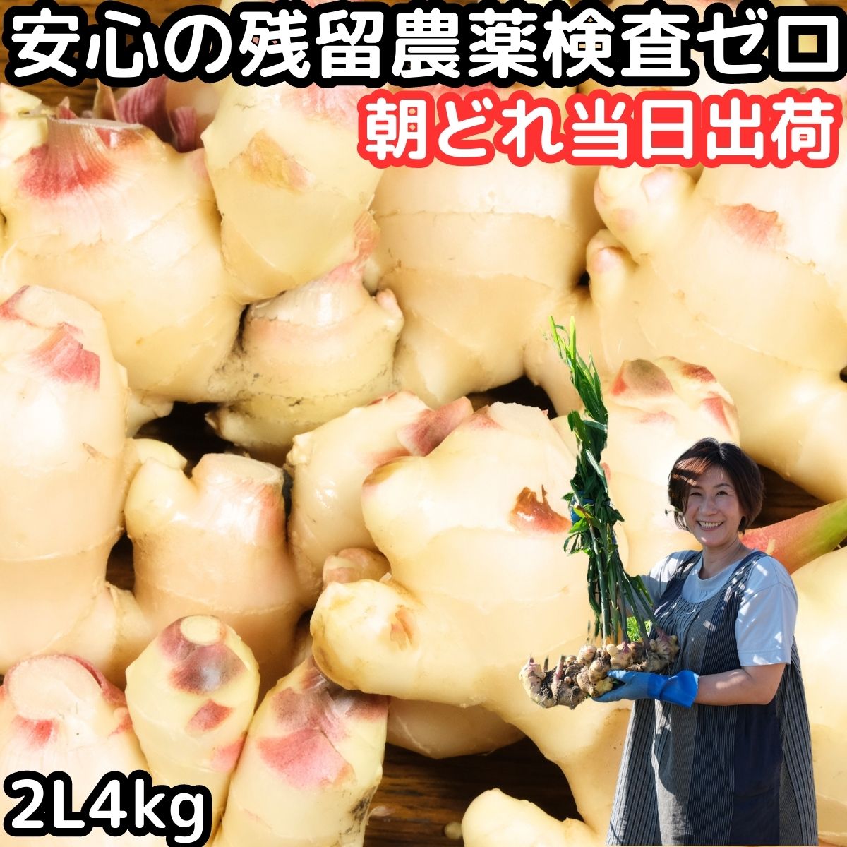 ͽ ժ ľ 4kg 2L  Ĺ 縶 JGAP  īɤв 礦 ſ Ѽ ¿  ժ 󥷥祦 󤷤礦 ľ 2024