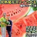 スイカ 甘い 糖度 贈答 山形 尾花沢 すいか ギフト M サイズ 1玉 約5kg 山形 東海林農園 尾花沢スイカ 直送 西瓜 品種 羅王 ザ・スィート お供え お盆
