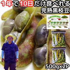 枝豆 丹波 黒豆 完熟 えだまめ 1kg 500g×2袋入 レシピ付 兵庫 丹波篠山 黒枝豆 大粒 一年に10日しか食べれない 田渕農場 販売 産地直送 丹波黒枝豆 品種 本黒 丹波の黒豆枝豆 おつまみ ギフト