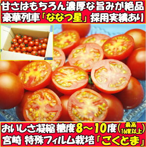 トマトフルーツトマト高糖度1時間で600件売れたフルーツトマトごくとま1kgバラ詰約40〜50個宮崎わそう農園直送ななつ星in九州採用実績あり