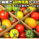 トマト フルーツトマト 高糖度 1時間で600件売れたフルーツ トマト ごくとま カラー 1kg バラ詰め 宮崎 わそう農園 直送 ななつ星in九州 採用実績あり