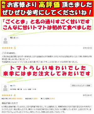 トマトフルーツトマト高糖度1時間で600件売れたフルーツトマトごくとま1kgバラ詰約40〜50個宮崎わそう農園直送ななつ星in九州採用実績あり