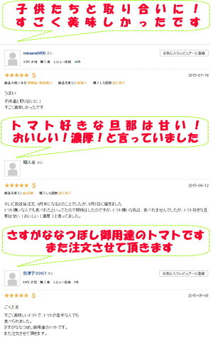 トマトフルーツトマト高糖度1時間で600件売れたフルーツトマトごくとま1kgバラ詰約40〜50個宮崎わそう農園直送ななつ星in九州採用実績あり