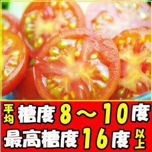 豪華列車ななつ星in九州御用達とまと!宮崎わそう農園ごくとま1kg化粧箱入