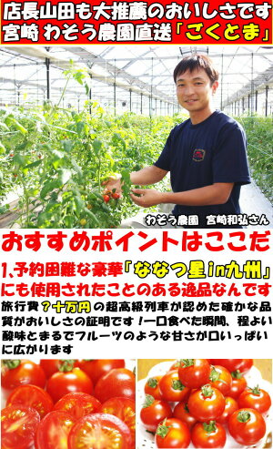 トマトフルーツトマト高糖度1時間で600件売れたフルーツトマトごくとま1kgバラ詰約40〜50個宮崎わそう農園直送ななつ星in九州採用実績あり