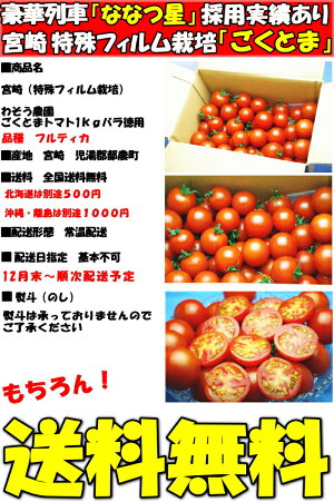 トマトフルーツトマト高糖度1時間で600件売れたフルーツトマトごくとま1kgバラ詰約40〜50個宮崎わそう農園直送ななつ星in九州採用実績あり