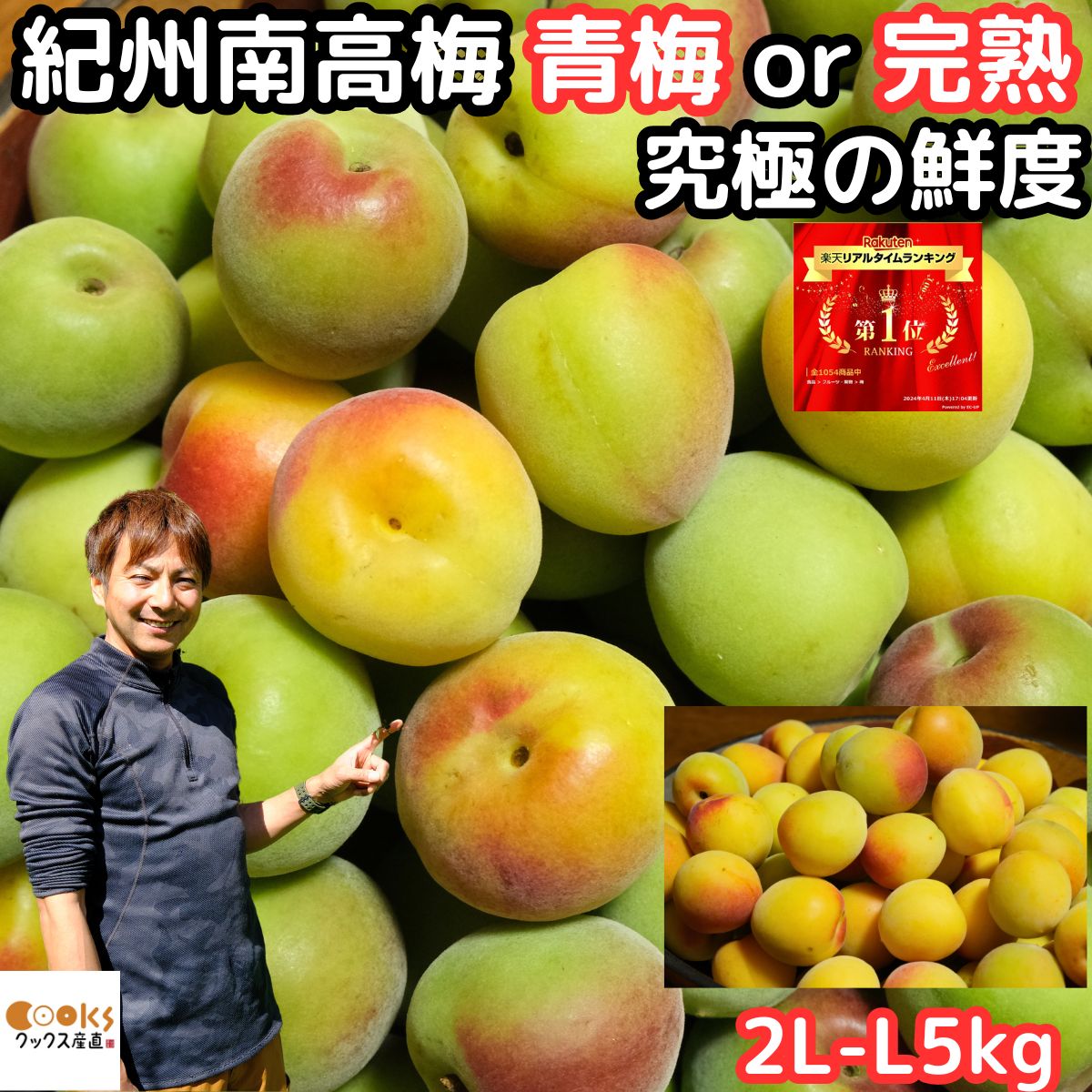 梅 南高梅 梅干し用 5kg 2L～3L 手摘み