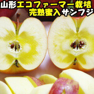 【山形りんご】山形県産の甘くて美味しいリンゴのおすすめは？