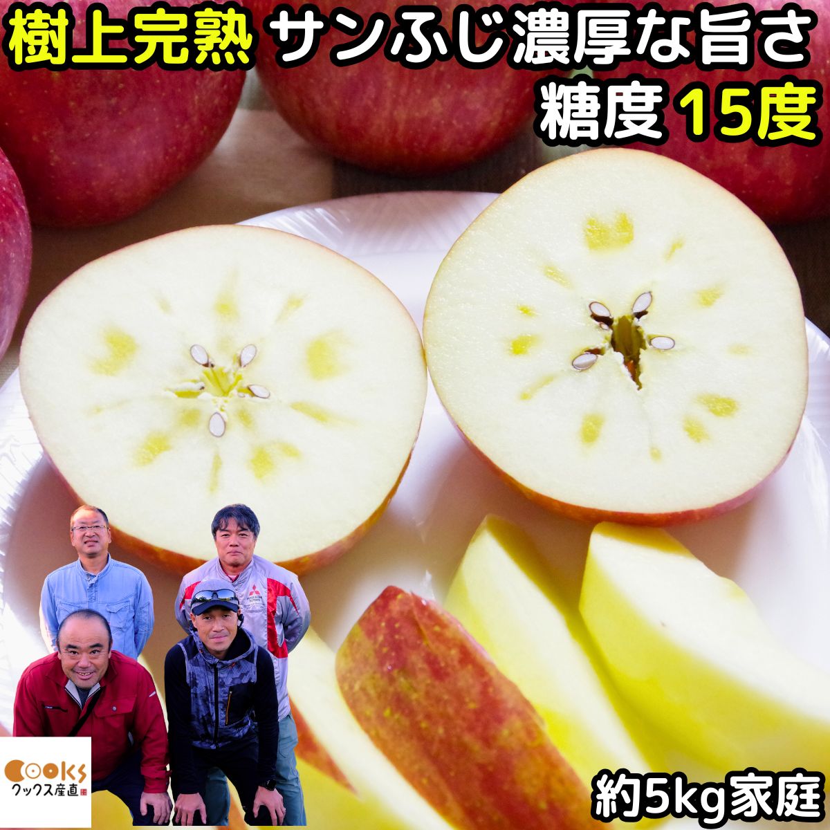 りんご 山形 完熟 サンふじ 約 5kg 12-23玉 家庭用 訳あり 蜜入り しやすい 寒河江 リンゴ わけあり もぎたて おいしい さんふじ りんご 予約 ...