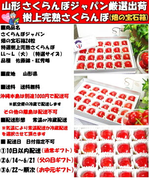 遅れてごめん さくらんぼ 父の日 ギフト 御中元 佐藤錦 紅秀峰 糖度18〜20度 東京某高級スーパーが惚れ込む味と品質 サクランボ 特秀品 送料無料 山形 完熟 畑の宝箱 24粒 特選 2L〜L大 父の日プレゼント 父の日ギフト 食品 食べ物 フルーツ 果物 内祝 出産祝い 2020