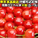 さくらんぼ 紅秀峰 大将錦 お中元 特秀 大粒 送料無料 東...