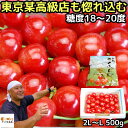 さくらんぼ 紅秀峰 大将錦 お中元 ギフト 500g 2l - l サイズ 大粒 プレゼント 送料無 ...