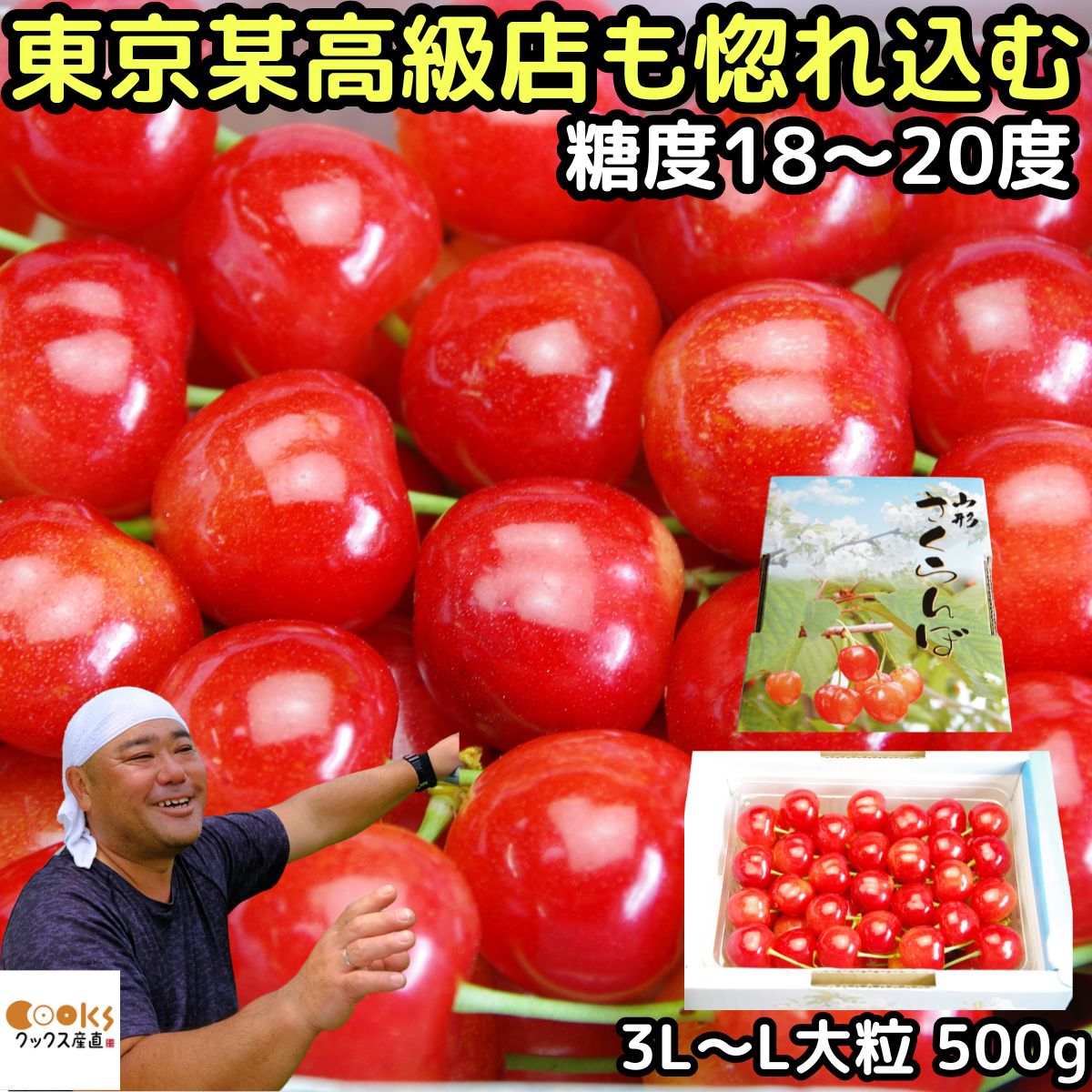 さくらんぼ さくらんぼ 紅秀峰 大将錦 お中元 ギフト 500g l- 2l- 3l サイズ 大粒 送料無料 山形県 寒河江 完熟さくらんぼ 御中元 贈答用 さがえ 東京某高級店も認める味と品質