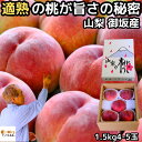 桃 山梨 お中元 ギフト 糖度 甘い 御坂の桃 適熟の桃 特 1.5kg 4-5玉 硬い 贈答用 プレゼント 御中元 お盆 お供え 白桃 白鳳 もも 川中島 モ...